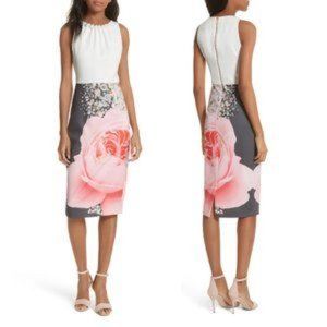 TED BAKER | Rubelle Blenheim Palace Ruched Detail Midi Dress Size 2